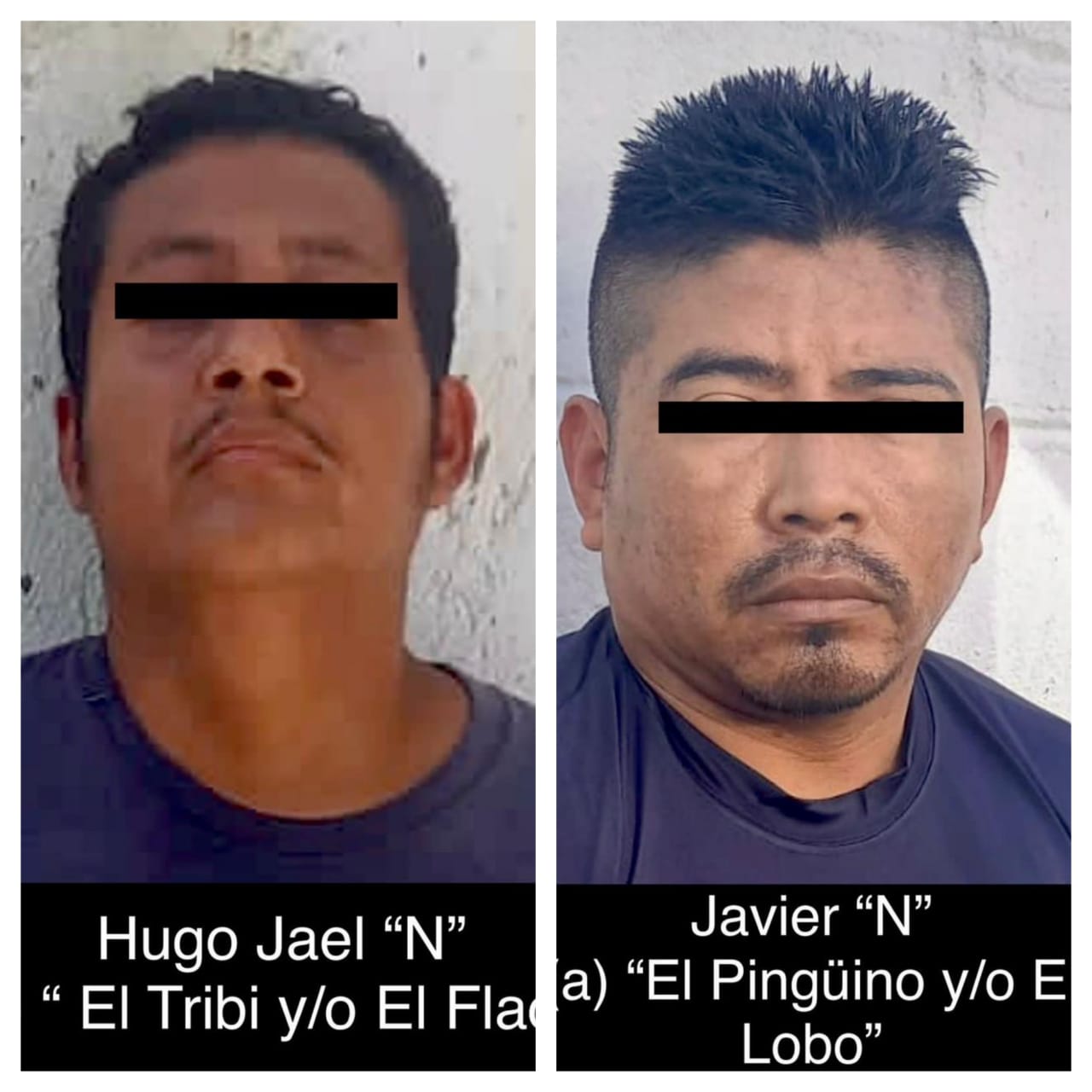 Ssp Y Sedena Capturan A “el Tribi” Y “el Pingüino Líderes Del Cjng En