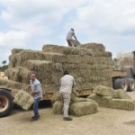 Gobierno de Cosoleacaque apoya a productores ganaderos