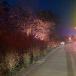Incendio forestal dejó sin energía eléctrica a Las Choapas