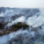 Incendios ahogan el valle de Uxpanapa