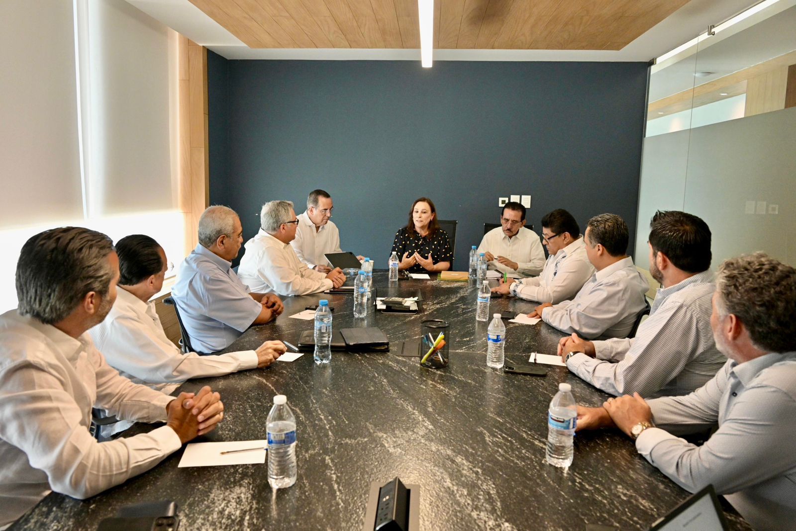 Rocío Nahle recibe al consejo coordinador empresarial del estado ...