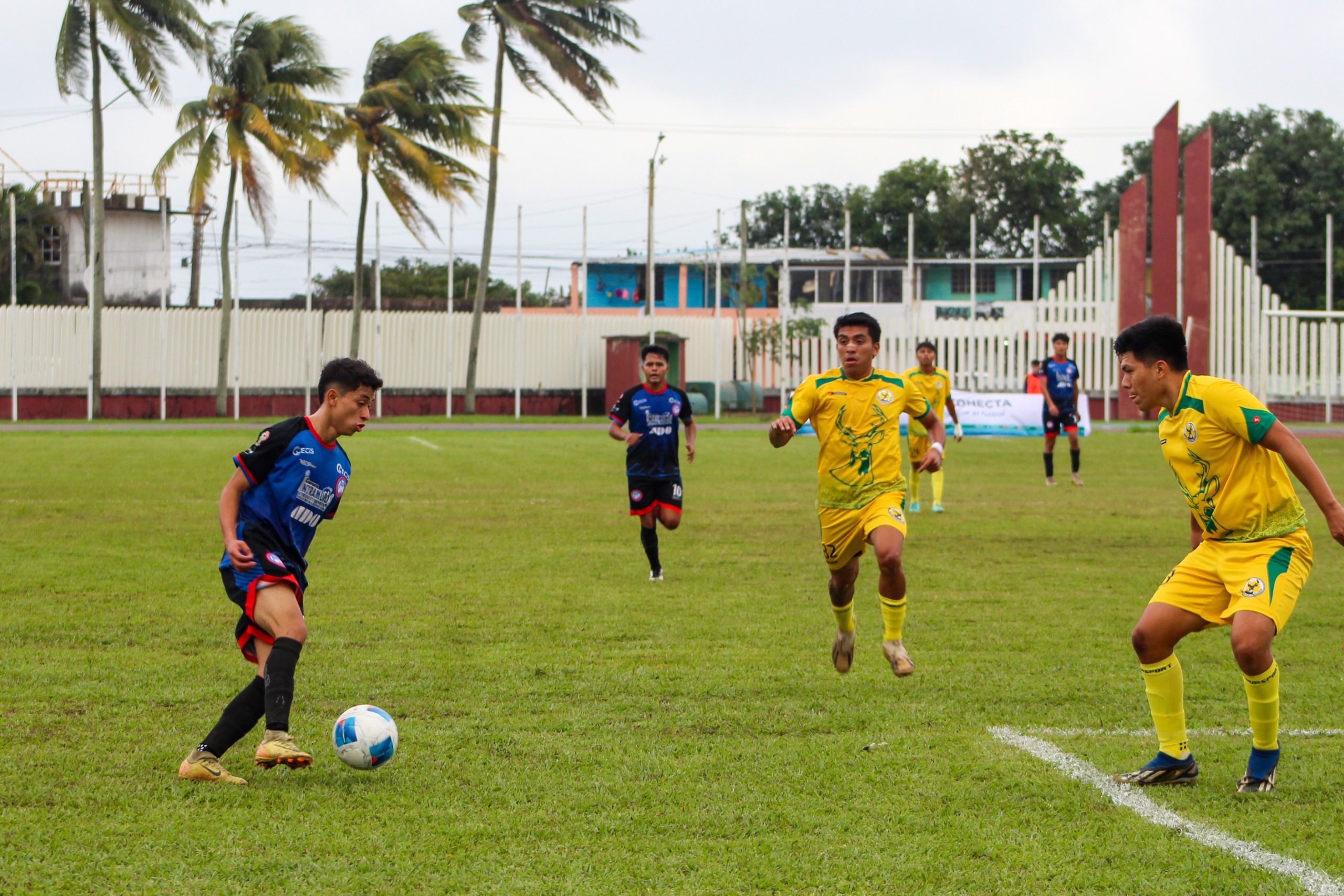 Delfines vence a Venados y avanza en la copa conecta