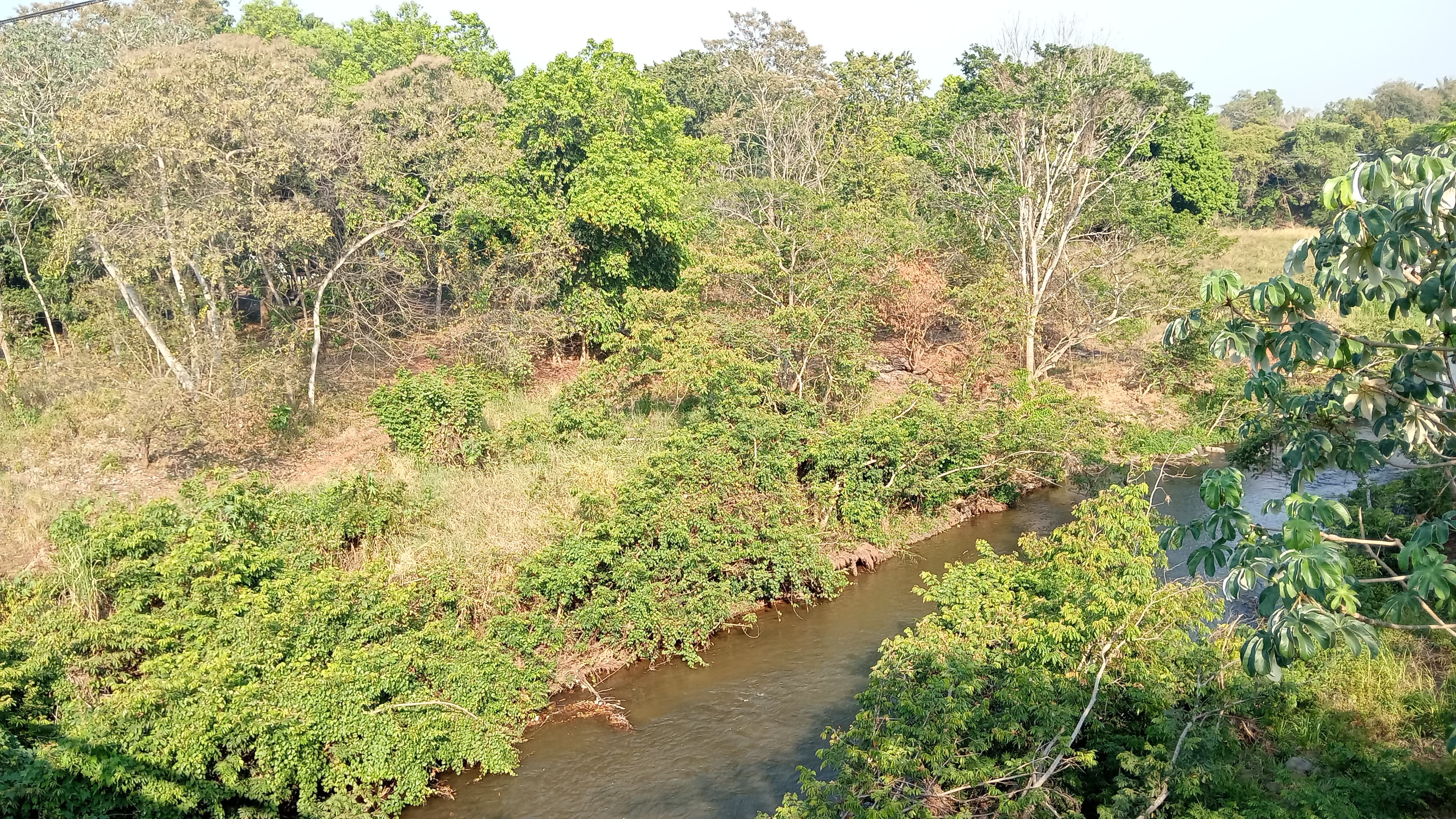 Sin agua en Sierra de Santa Marta: urgen soluciones de captación