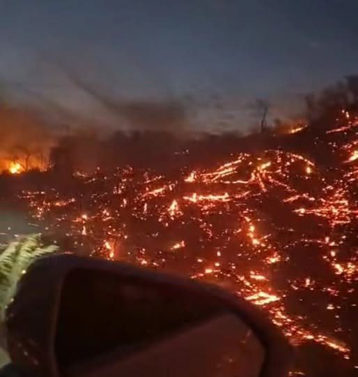 Incendio forestal fuera de control en el Istmo de Tehuantepec