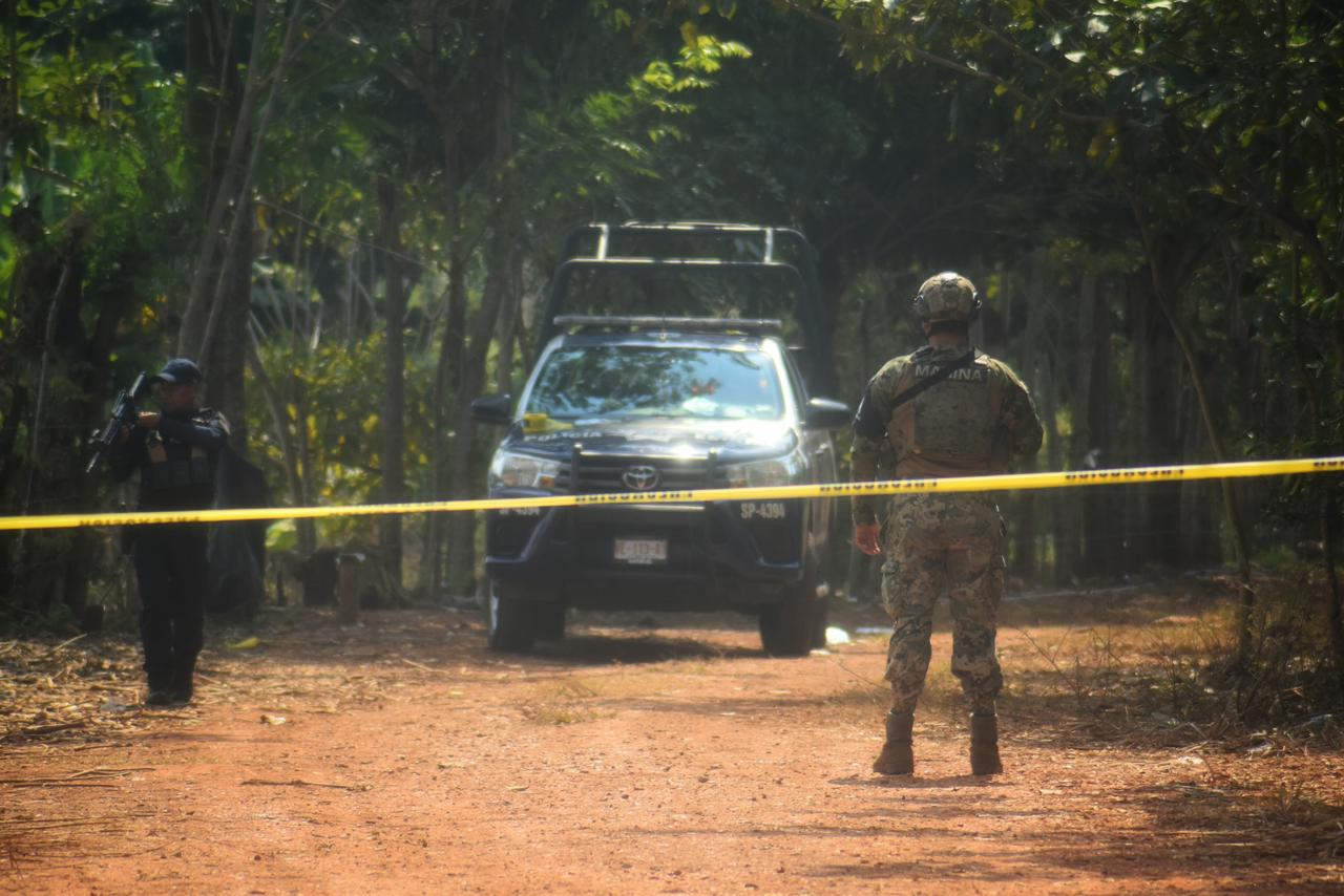 Hallan al menos siete cuerpos en fosas clandestinas de Jáltipan
