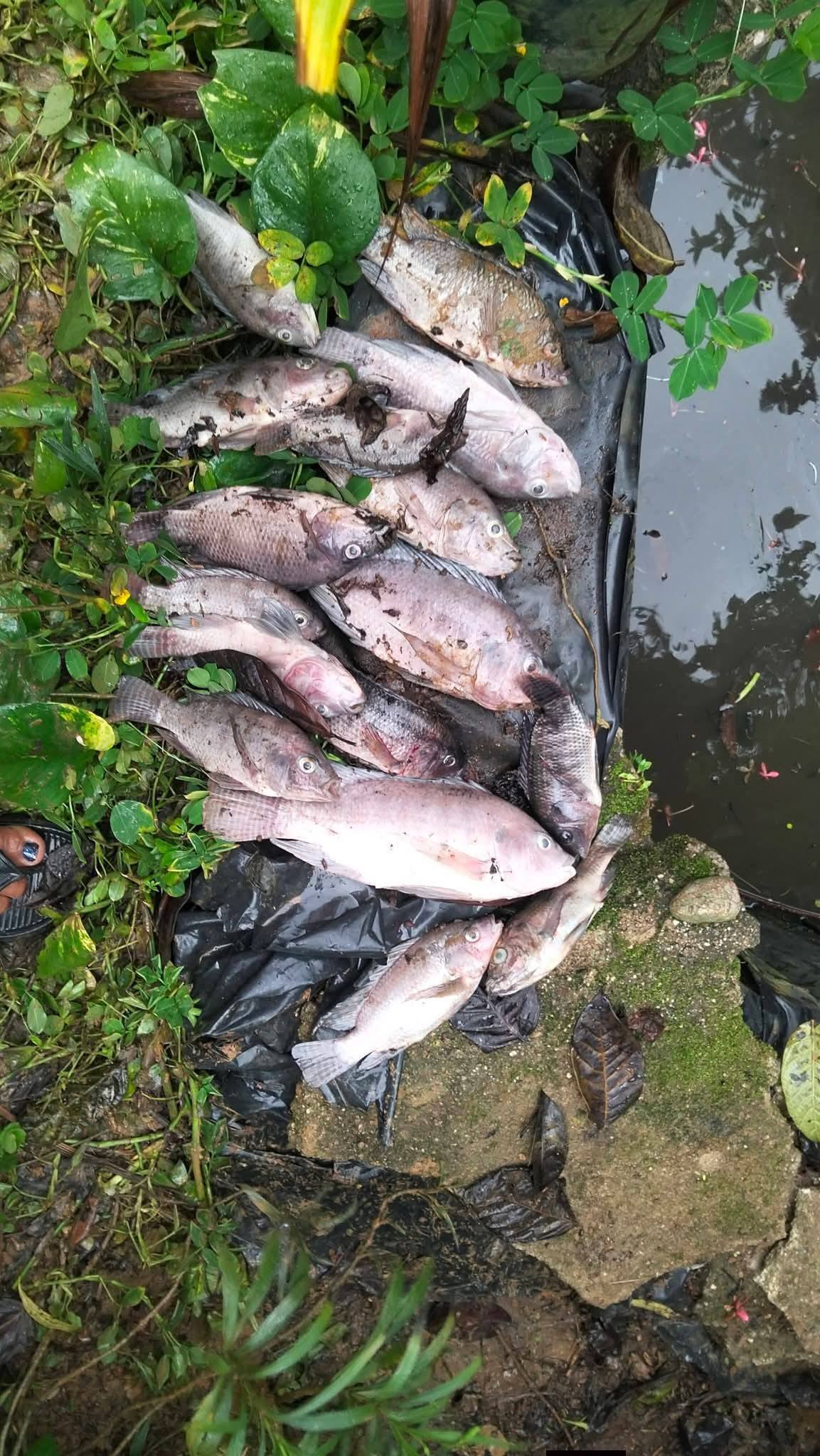 Comunidades de Las Choapas denuncian daños por pozo Krem‑1