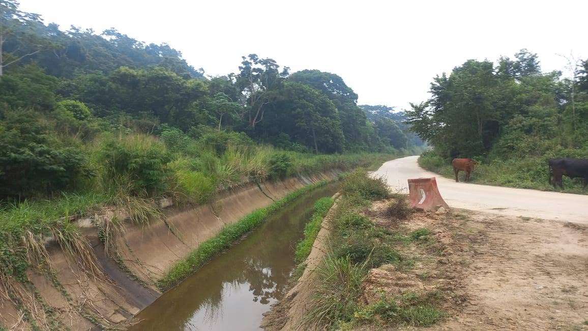Comunidades de Veracruz exigen evaluación integral sobre daños ambientales del acueductoUxpanapa–La Cangrejera