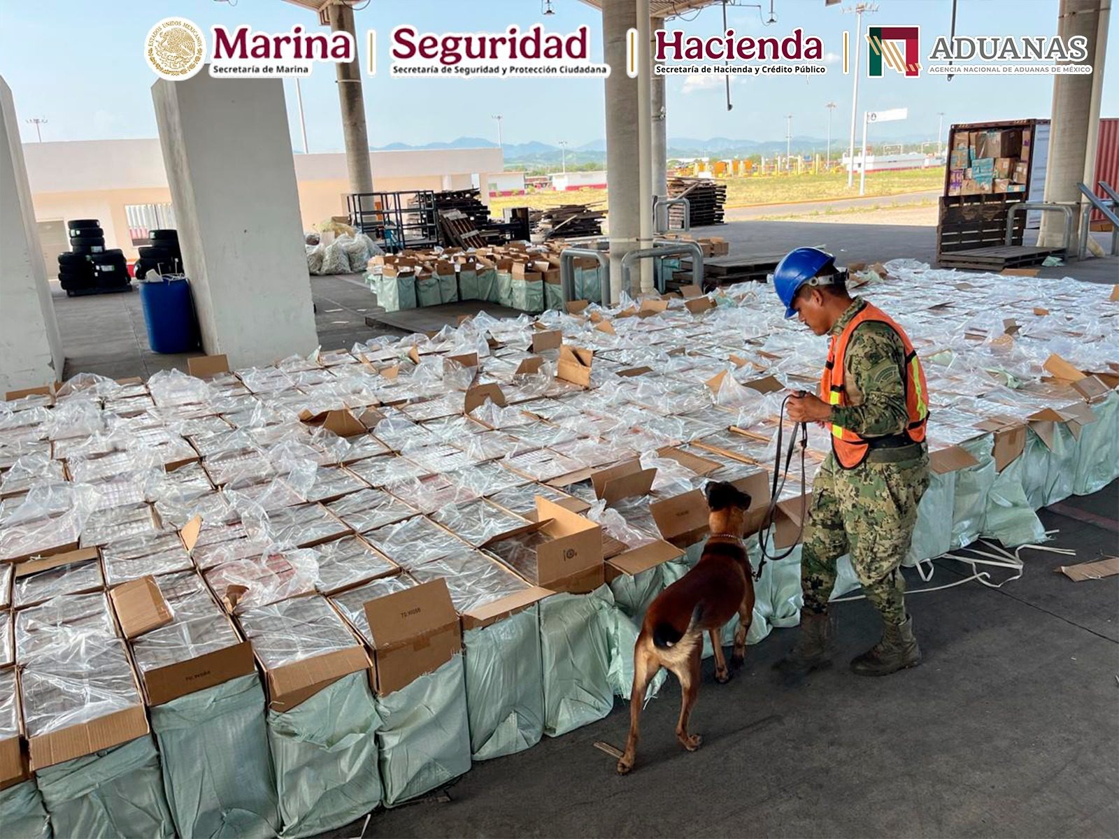 Marina, ANAM y SSPC aseguran cerca de 10 millones de cigarros ilícitos en Michoacán